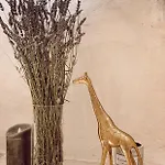 Harmony Διαμέρισμα *